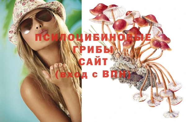 стафф Балабаново