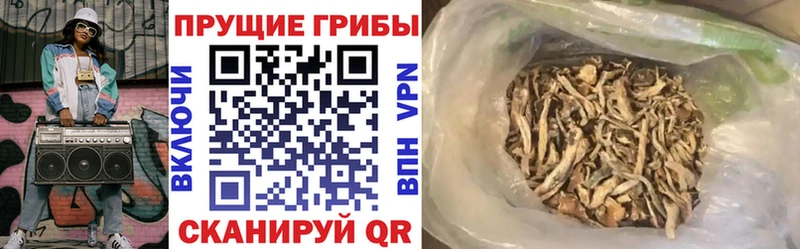 Галлюциногенные грибы Psilocybine cubensis  что такое   MEGA маркетплейс  Верхняя Тура 